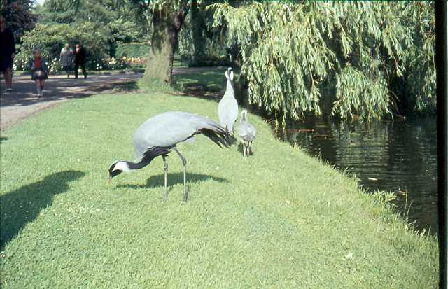 Copy (2) of box3scan20034.jpg